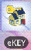 eKEY Icon
